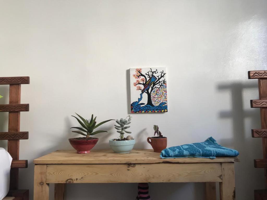 塔哈佐特Binic Surf House住宿加早餐旅馆 外观 照片